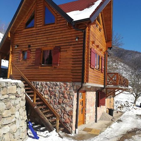 Vila Jelena Crni Vrh Екстериор снимка
