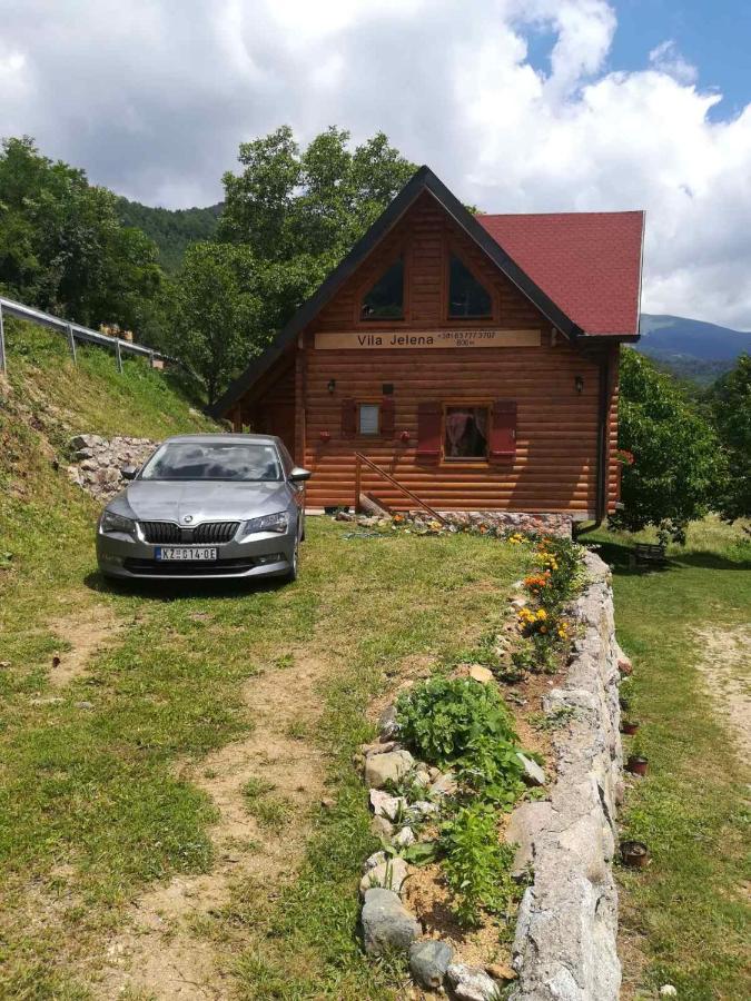 Vila Jelena Crni Vrh Екстериор снимка