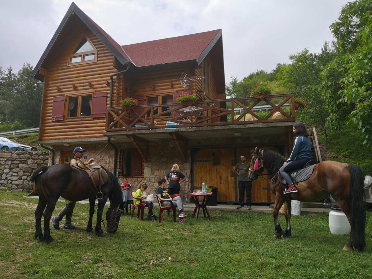 Vila Jelena Crni Vrh Екстериор снимка