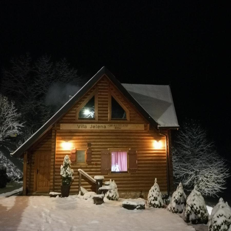 Vila Jelena Crni Vrh Екстериор снимка