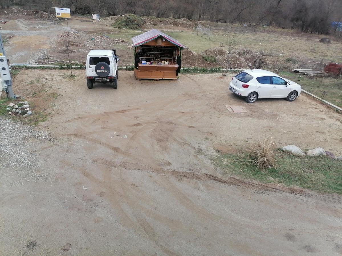 Vila Jelena Crni Vrh Екстериор снимка