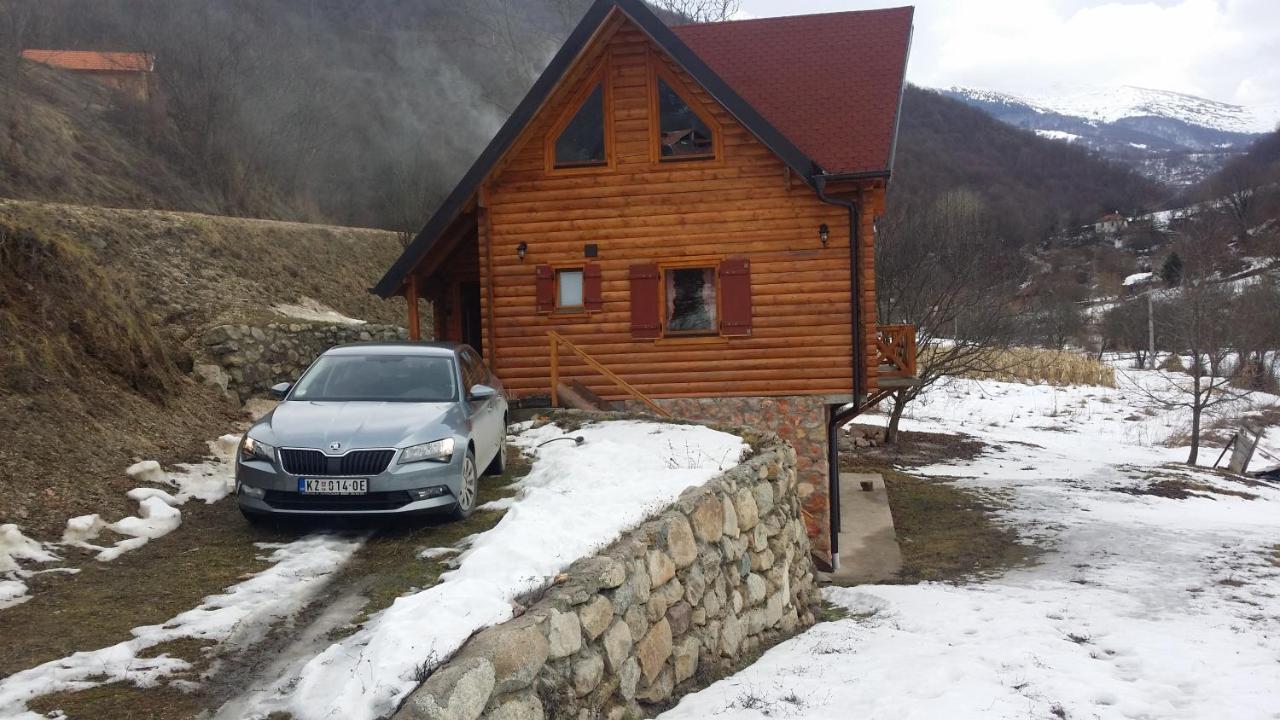 Vila Jelena Crni Vrh Екстериор снимка