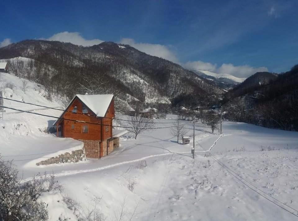 Vila Jelena Crni Vrh Екстериор снимка