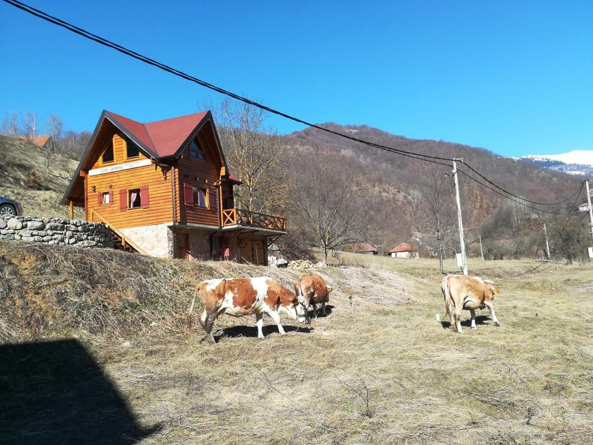 Vila Jelena Crni Vrh Екстериор снимка